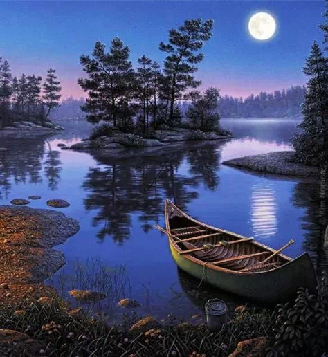 一人一叶一孤舟伤感的图片00