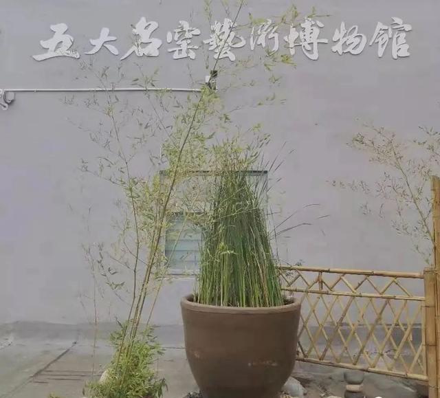 你知道吗?古代庭院中为何要摆缸?