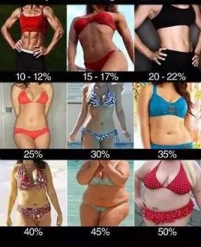 女性体脂率对照图真人图，女性体脂率对照表图片