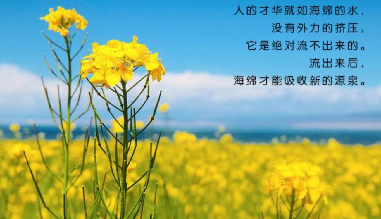 阳光向上有朝气的图片,善良自信阳光乐观图片