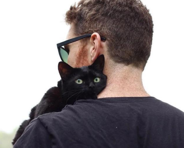 养猫最忌讳的8个细节,猫到底是招财还是来灾