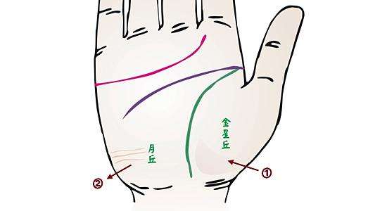女性月丘饱满代表什么，手相中的月丘饱满什么意思