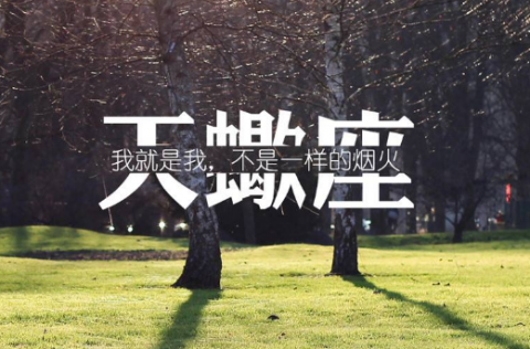 读心术最厉害的星座，星座里哪个星座会读心术