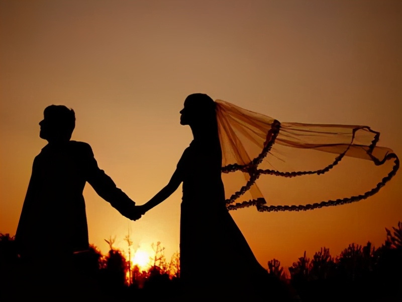 事业型男人最爱的女人