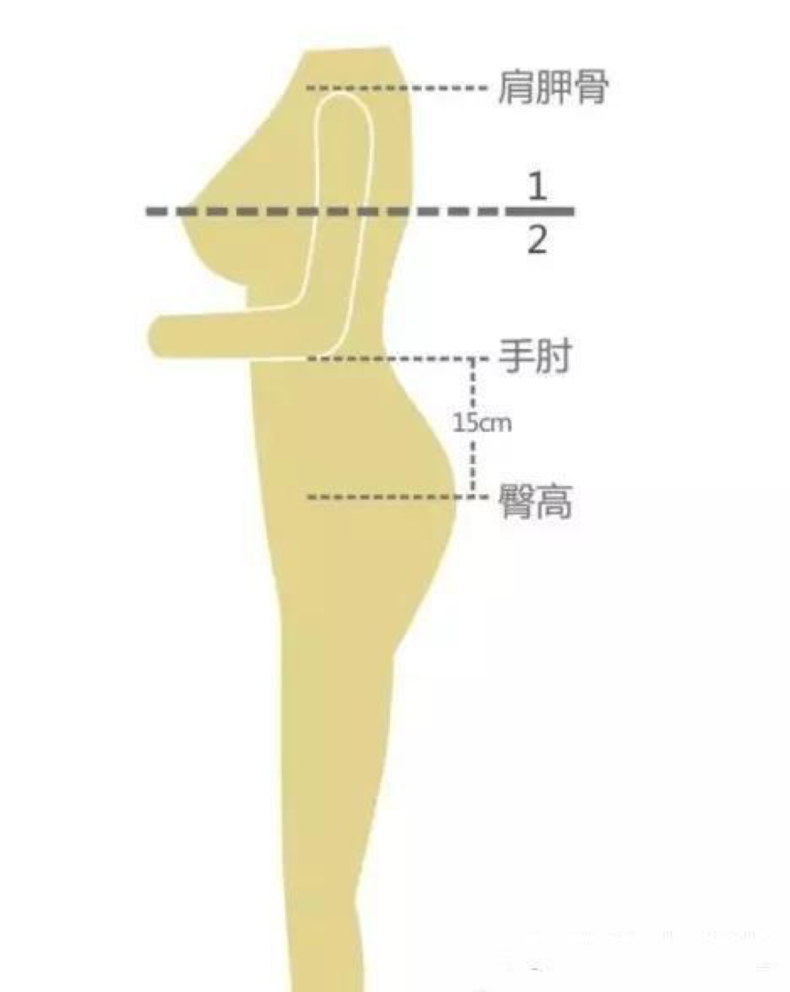 男女上半身和下半身比例，男女上下半身的黄金比例是多少