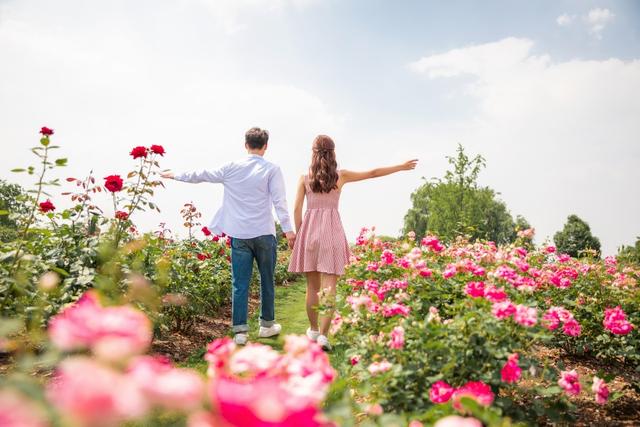 夫妻有感情为什么离婚