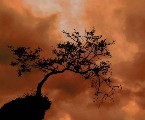 做三种梦不能告诉别人,预知梦不能告诉别人