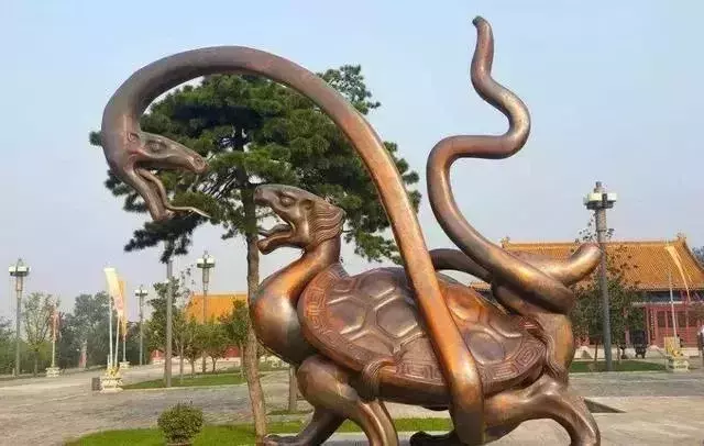 蛇缠龟代表什么意思,梦见蛇缠龟有什么预兆