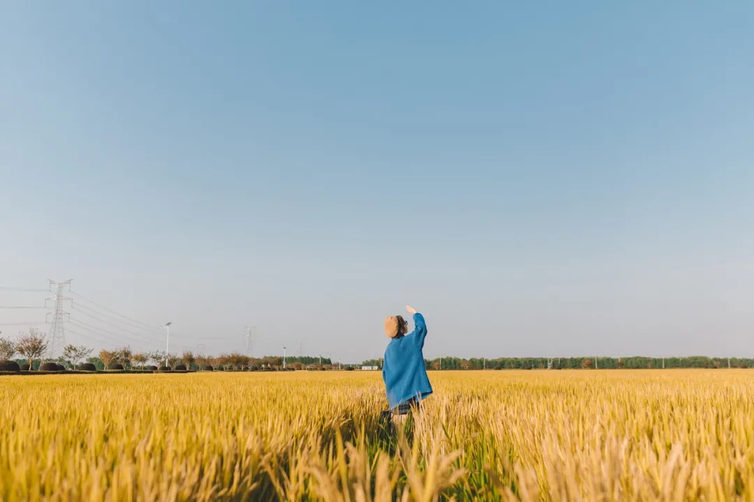 感情怎么样才能长久,夫妻应该怎样相处