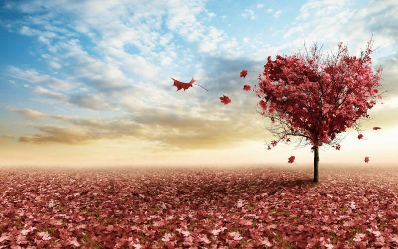 男人心里怕失去你的表现，这几种基本骗不了人