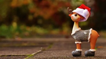 容易吸引富人的女人