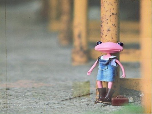 容易吸引富人的女人