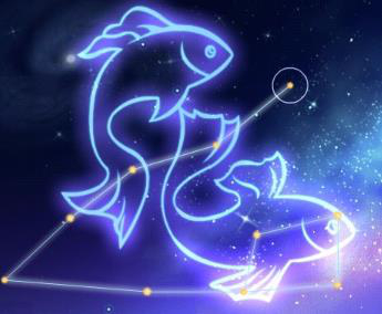 与双鱼男交往的大忌，与双鱼男相处的最佳方式