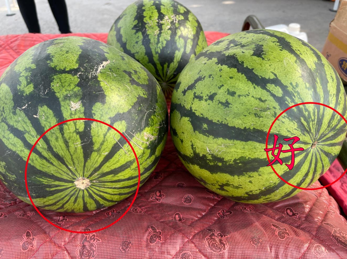 西瓜脐大甜还是脐小甜，西瓜是花蒂大还是小的好