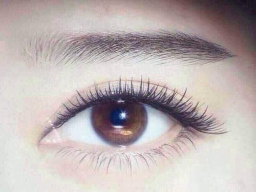 女人大富大贵的眉毛,柳叶眉的女人很少吗