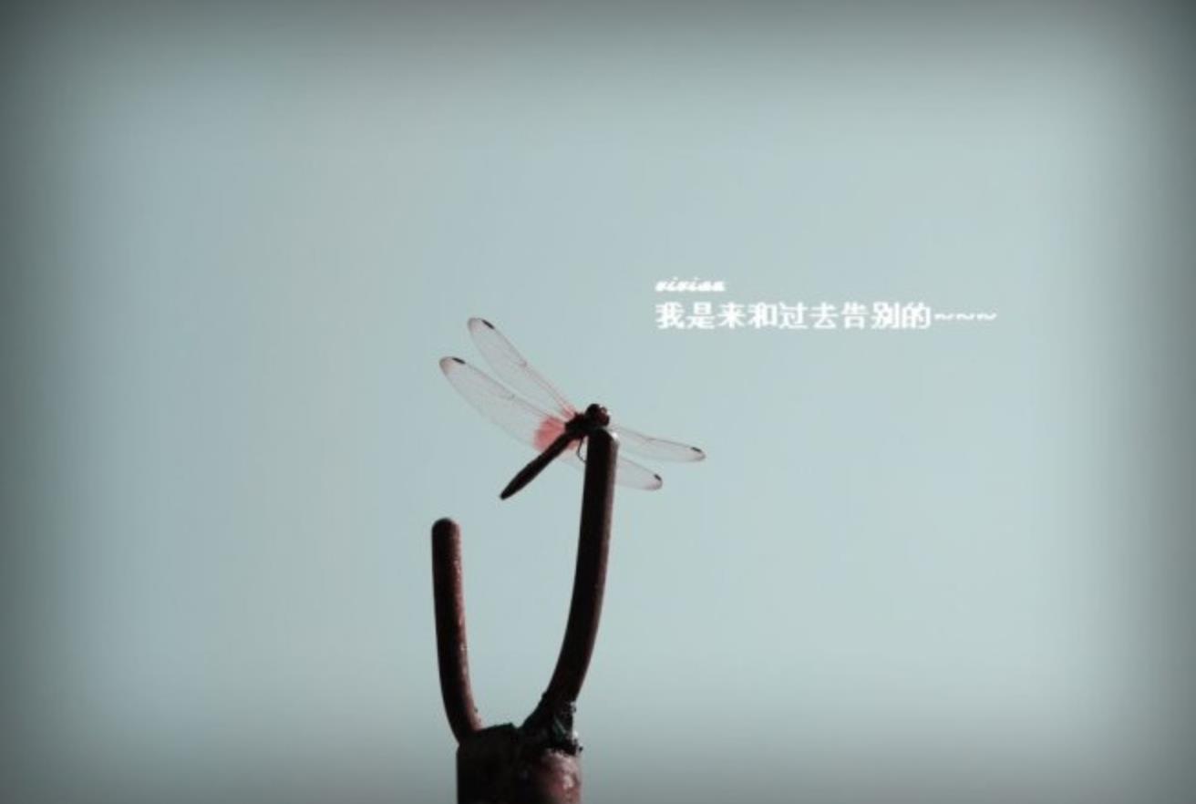 告别过去迎接未来的图片