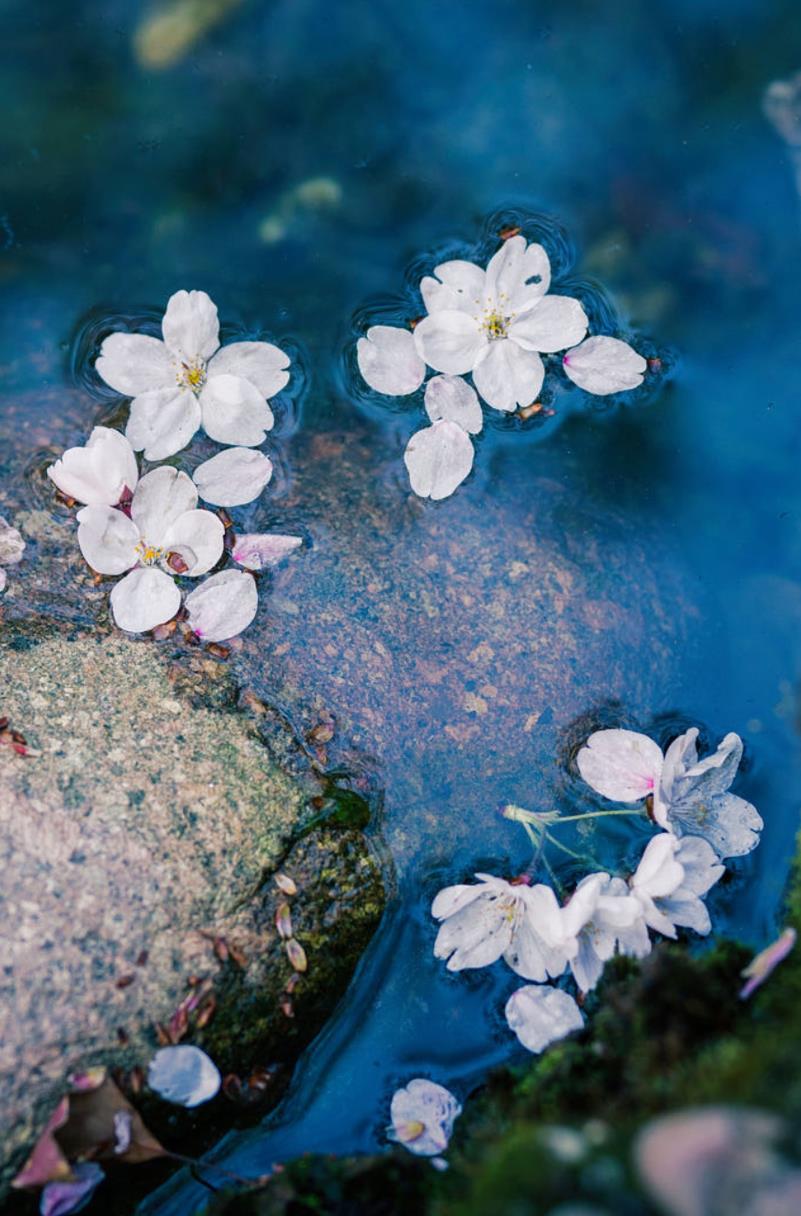 让人心情立马愉快的图片00