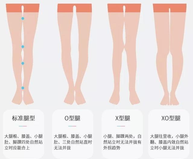 不同腿型鲨鱼裤怎么穿,鲨鱼裤适合什么温度穿