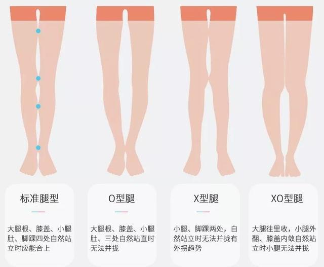 不同腿型鲨鱼裤怎么穿，鲨鱼裤适合什么温度穿