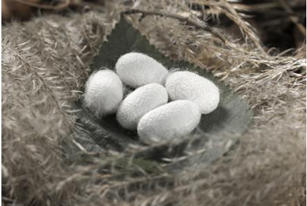 真丝与桑蚕丝的区别,为什么不能长期盖蚕丝被