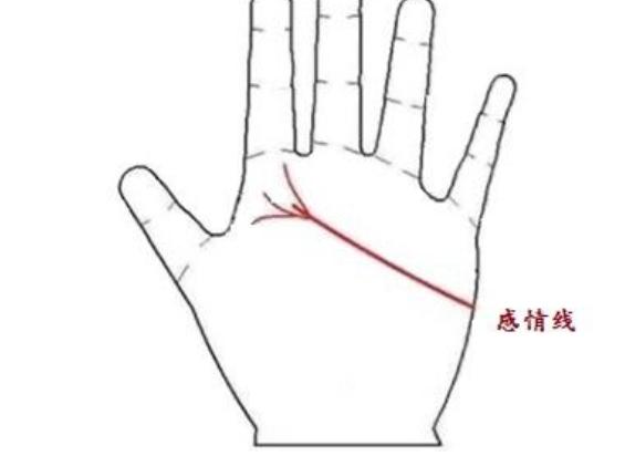 感情线怎么看几段姻缘,感情线分叉代表了什么