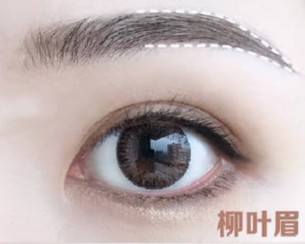 弯月眉和柳叶眉的区别,弯月眉和柳叶眉哪个好看