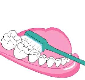 正确刷牙的8个步骤图解，为什么不建议电动牙刷