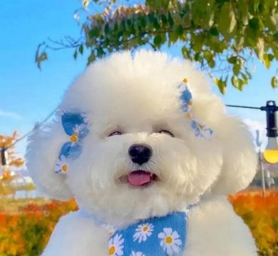适合长期不换的头像治愈系