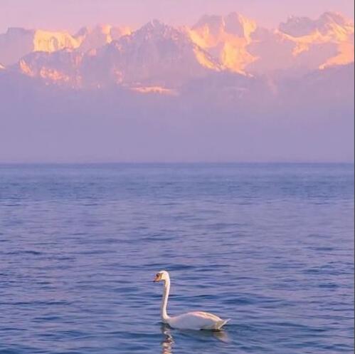 第一眼就吸引人的图片『第一眼就吸引人的图片男生』