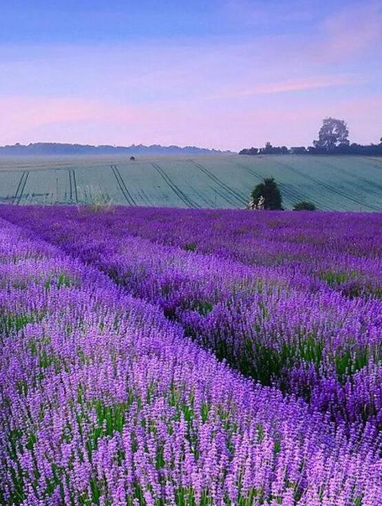 干净透彻极致的图片,唯美意境图片清新淡雅