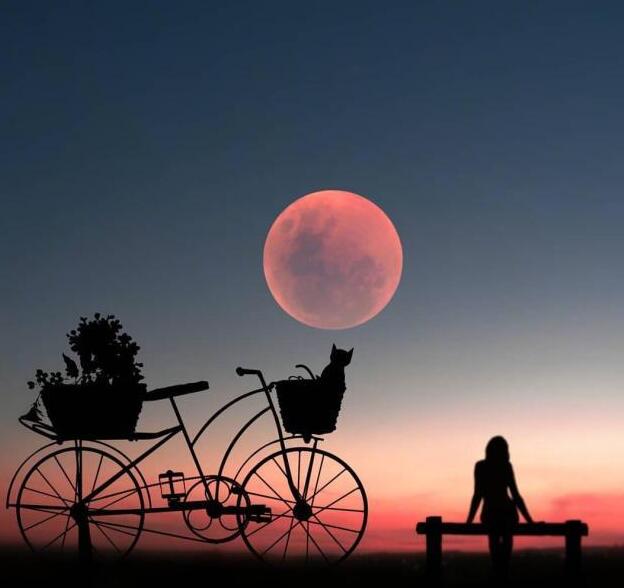 一个人安静的图片