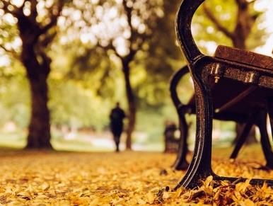 人到中年两不交啥意思,人到六十两不碰啥意思