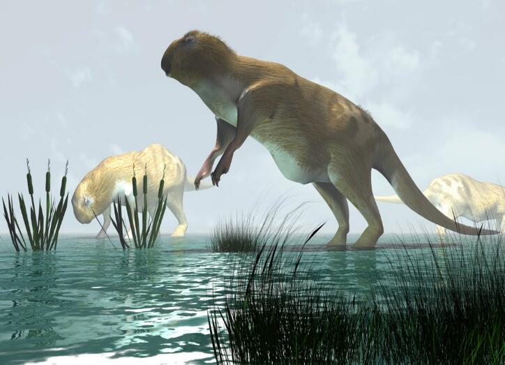 100000亿年前的动物图片