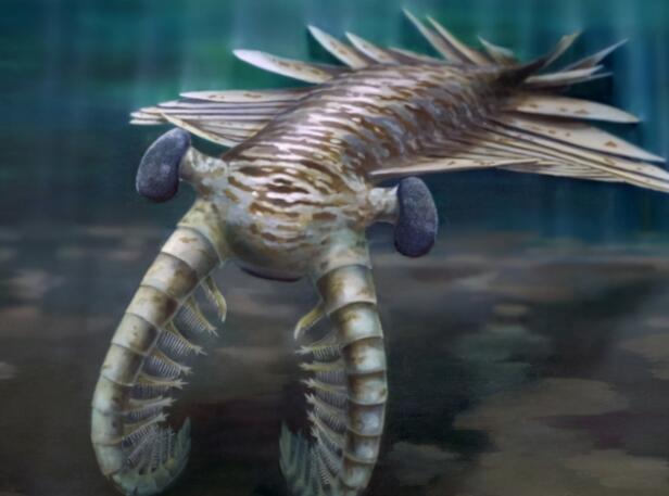 100000亿年前的动物图片