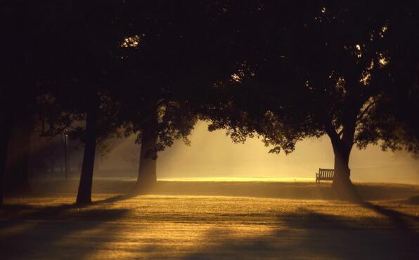意境深远图片唯美伤感