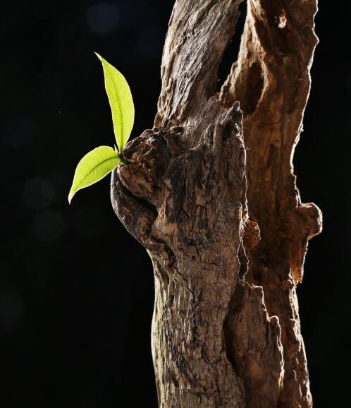 五味杂陈心情图片00