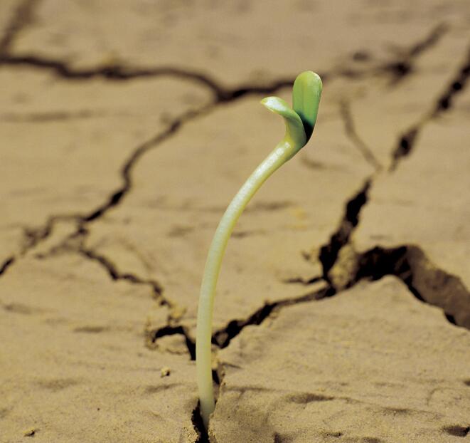 五味杂陈心情图片00