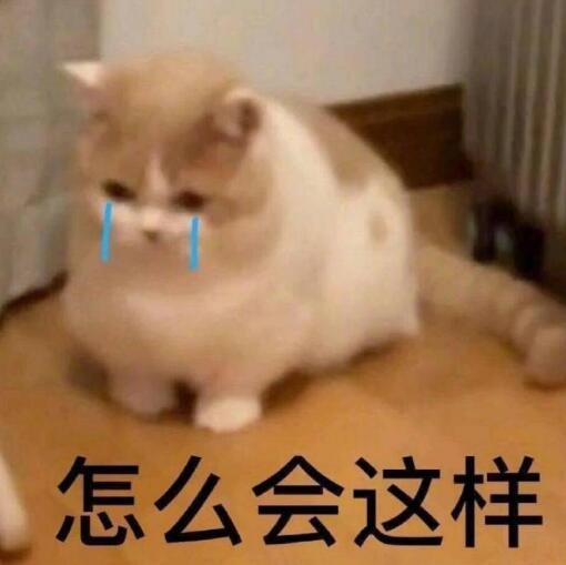 心里的苦没人懂的图片表情包,委屈难过没人懂的表情包图片