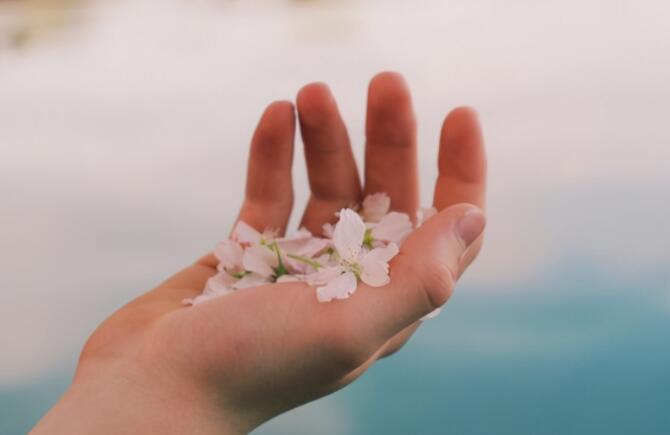 摆正位置认清自己图片,终于明白该放手的图片