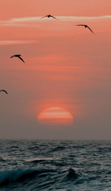 晨起朝阳励志图片
