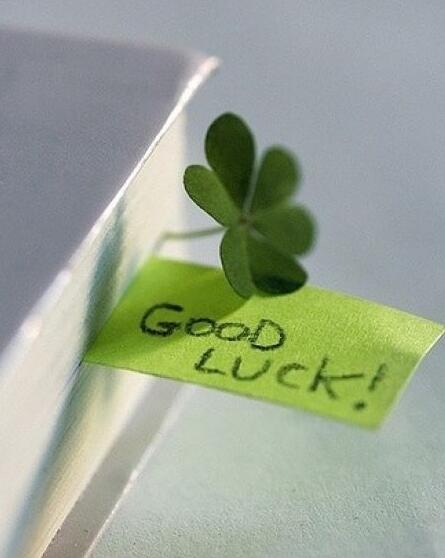 非常好看的幸运草图片,幸运草最唯美真实图片