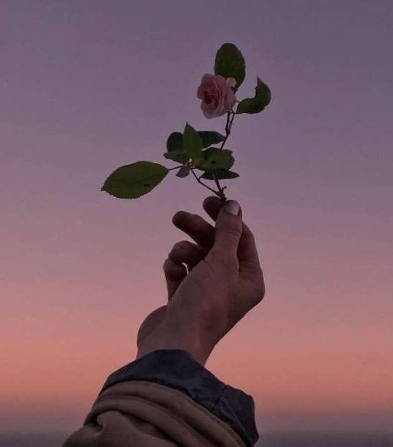 终于明白该放手的图片,纠结一段感情该不该继续图片