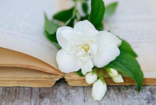 搞定中年男人的几句话,撩中年已婚男的暖心话