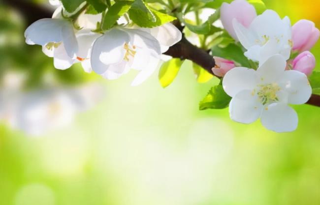 搞定中年男人的几句话,撩中年已婚男的暖心话