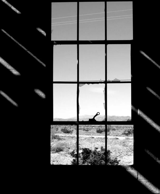 桀骜不驯又霸气的图片,冷漠到极致的背景图