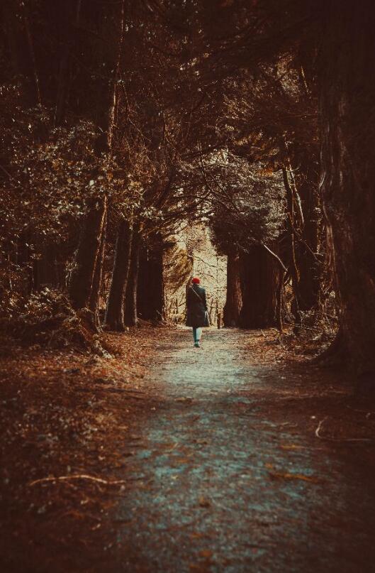 顶级孤独震撼照片,内心孤独无助伤感的壁纸