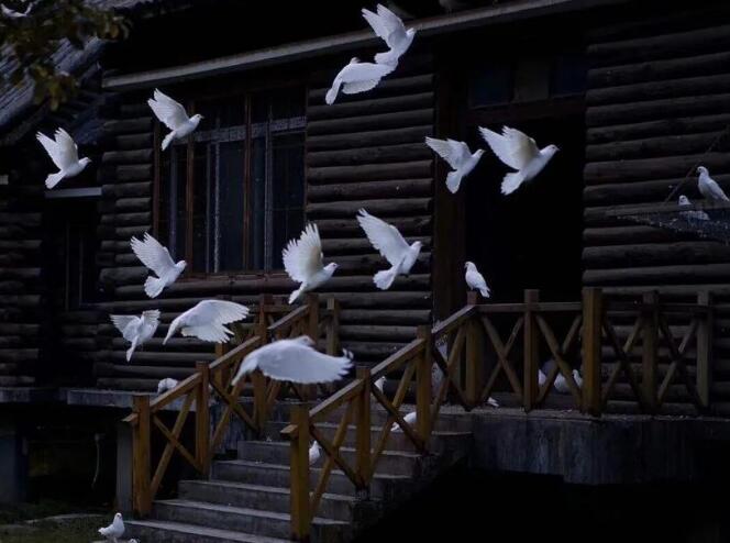 很小众却很惊艳的图片,超冷门惊艳的背景图