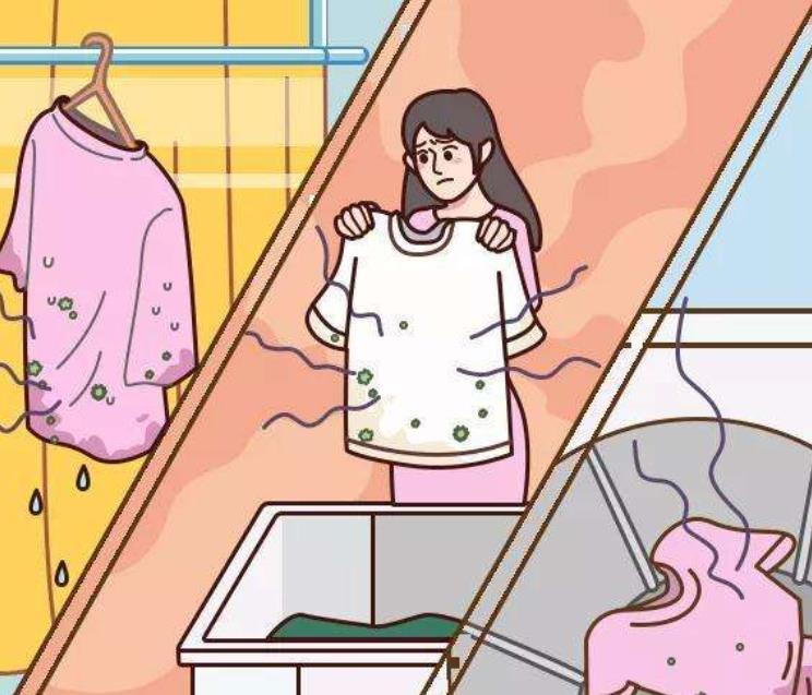 为何不建议衣服断舍离，丢掉旧衣服的时候需要忌讳什么