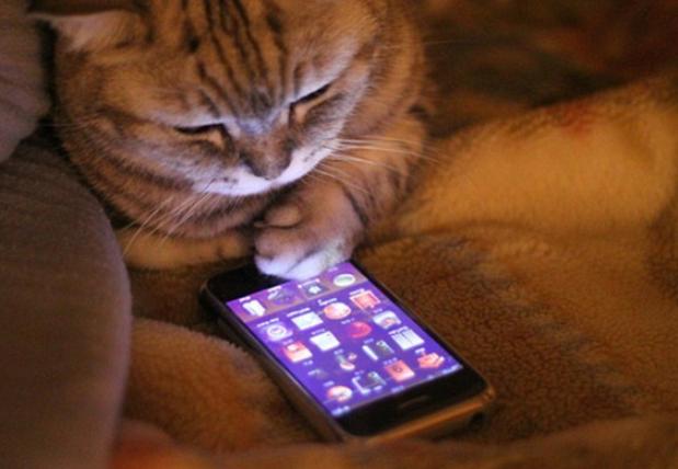 怎么克服手机依赖症,手机依赖症十大表现