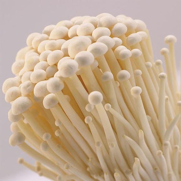 自己煮火锅必备食材,自己在家里煮火锅买什么食材